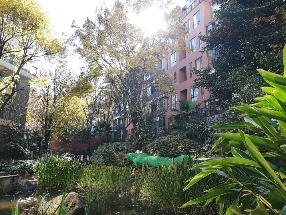 小区相关图