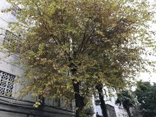 近新村路7号线 精装 中间楼层 诚意出售