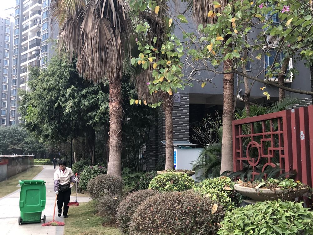 小区相关图