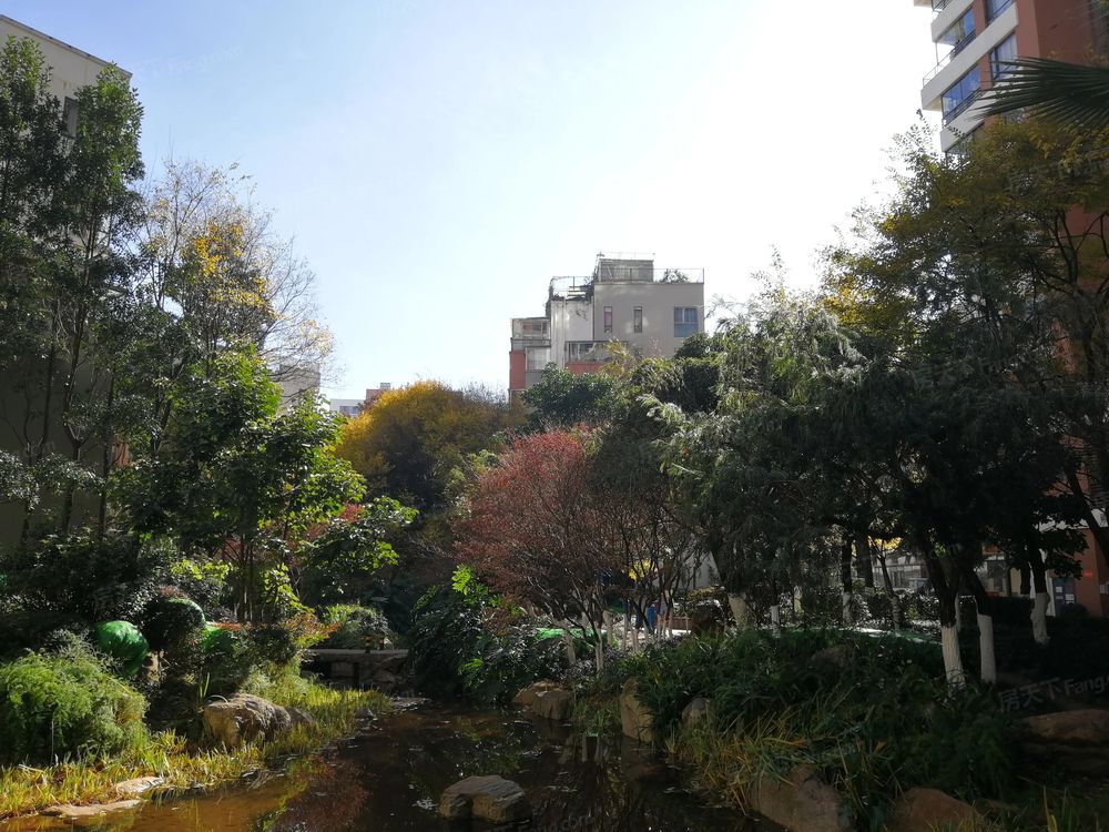 小区相关图