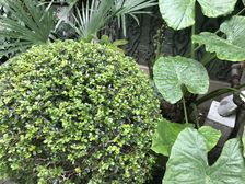 近新村路地铁 三开间朝南 不靠马路 不沿街 户型方正