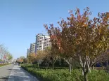 项目在建工地