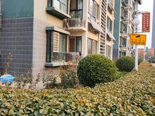 文澜阁 1室1厅 南