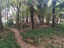 长桥·罗香苑·3室·2厅