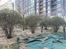 新华联丽港1室1厅西