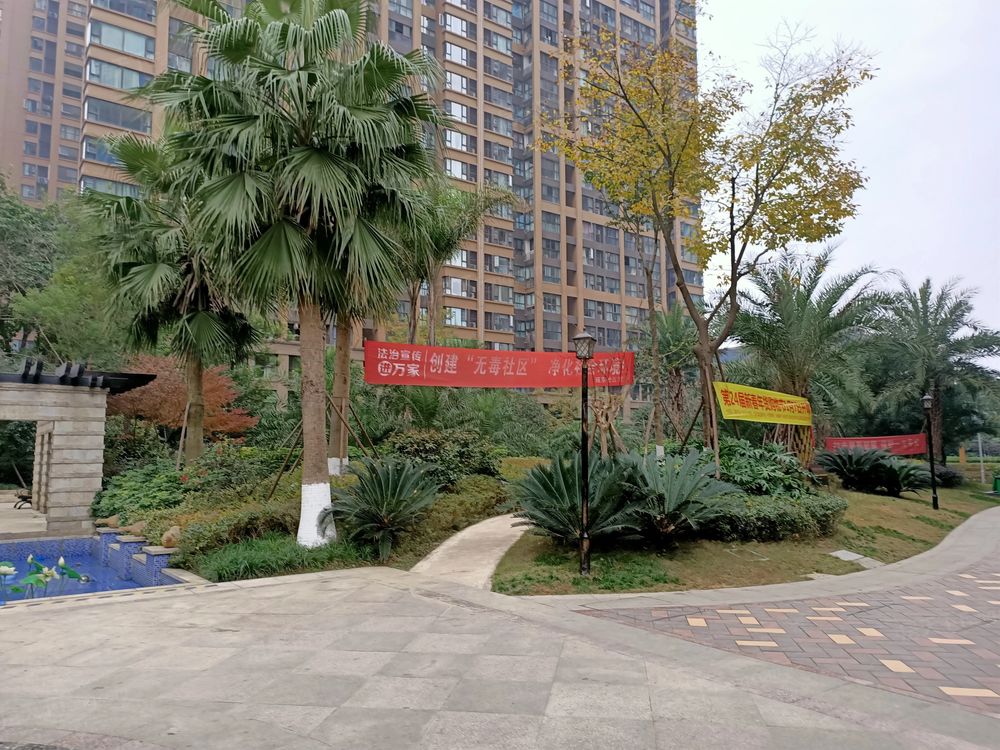 小区相关图