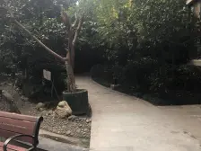 配套设施齐全,小区环境好,楼下就是新世纪和公交站