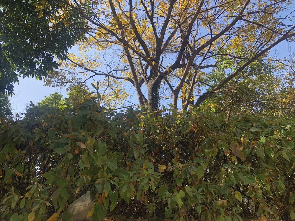 小区相关图