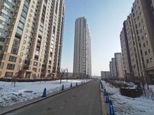 新都市区御融官邸洋房前排双阳夹厅采光刺眼无大税