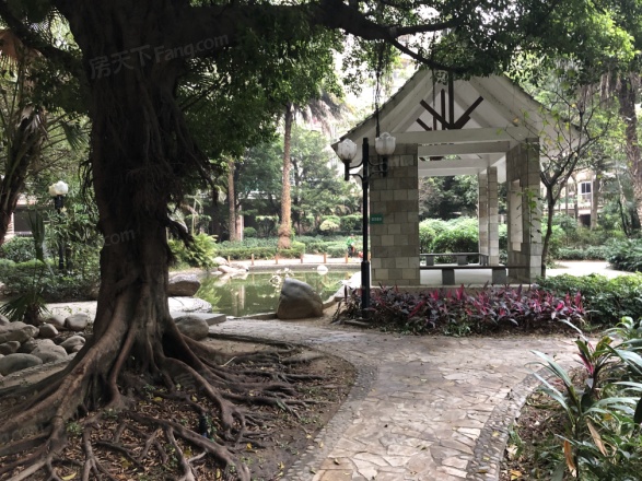 广州白天鹅花园