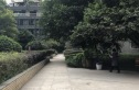 兰波红城丽景实景图
