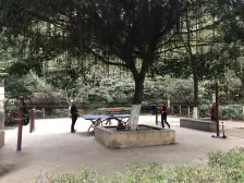 大坪 红城丽景三房75万