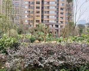 中铁城锦南汇4室2厅东东南