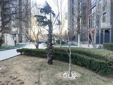 新华联丽港1室1厅西