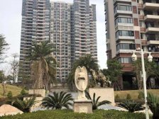 楼层高,采光足,通风好,业主诚心卖房。