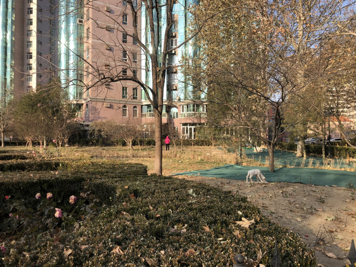 北京金岛花园图片