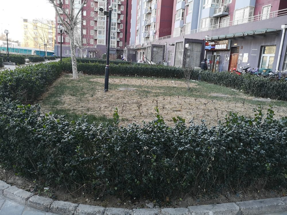 小区相关图