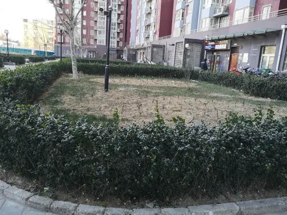 尚东阁实景图