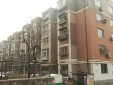 彩霞园 1室1厅 南