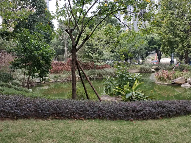 海怡花园实景图-环境绿化