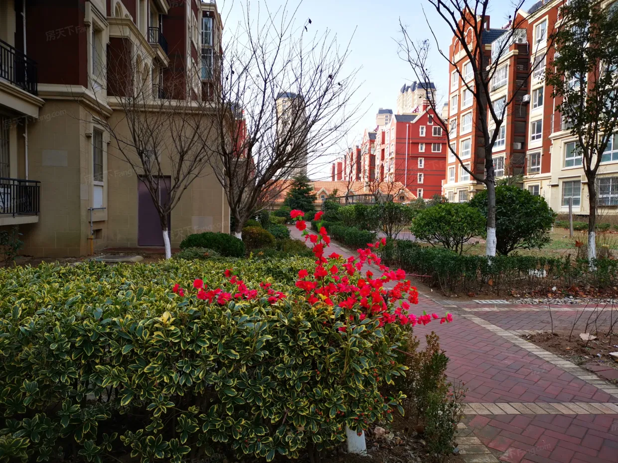 【青岛南岛小镇小区,二手房,租房】- 青岛房天下