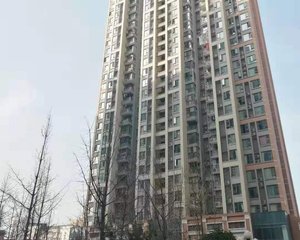 曹家巷恒大雅苑 2室1厅 东南