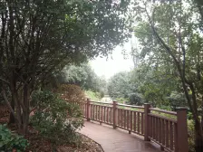 业主诚心出售,户型方正,位置好,采光好