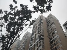 翰林居2室2厅南