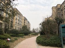 中南花城,132平,四室,前排,好楼层