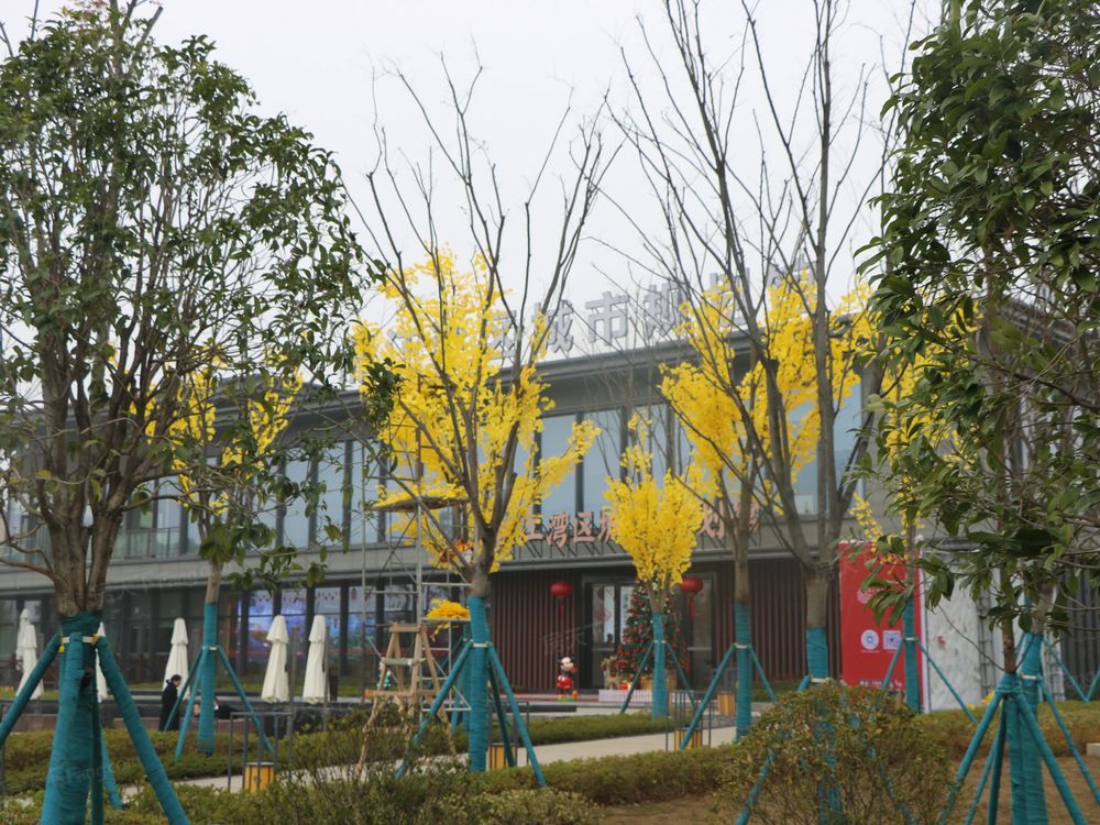 小区相关图