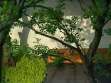 林山郡,山景洋房