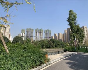金沙宸宇公馆3室2厅南