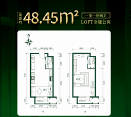 永至铂宁1室1厅1厨2卫建面48.45㎡