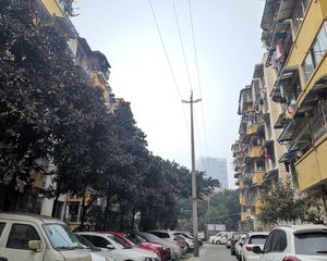 高攀路18号1室1厅南
