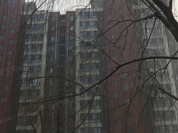 和合美家实景图