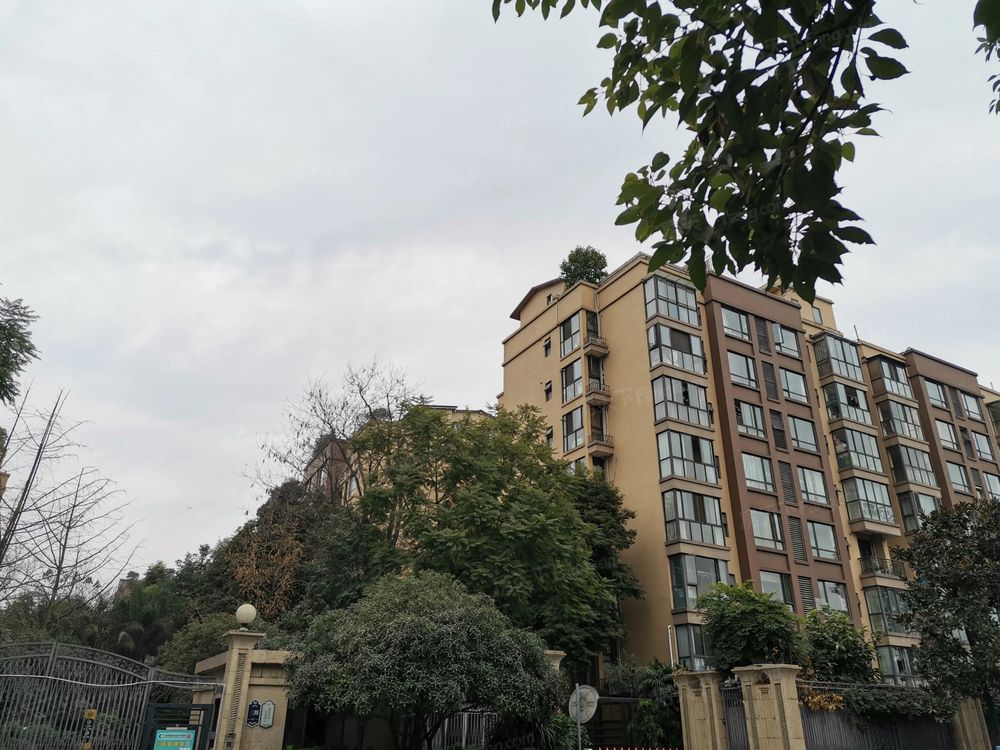 小区相关图