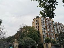 新界三期3室2厅东南