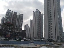 北方月光兰庭 1室1厅 南