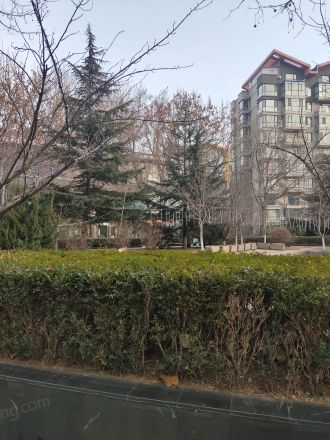 亿达世纪城实景图