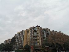 新界三期3室2厅西北