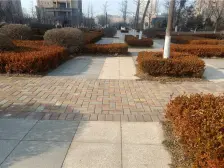 滨海丰园 2室1厅 南 北