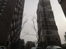 建业密码国际 1室1厅 南