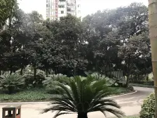 回兴 银鑫莲花半岛三房110万