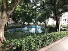 龙溪镇 新城绿园一房58万