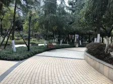 轻轨两房,位置安静,采光好,户型方正,朝东看中庭