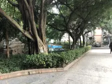 龙溪镇 新城绿园二房61.8万