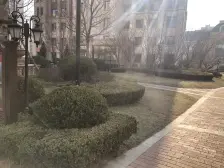 远洋广场 地脚好 房主诚心出售 价位可谈