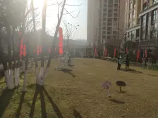 照母山 融创凡尔赛领馆一期三房123万