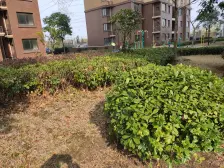 精装修,拎包入住,楼层佳,视野好,看房方便