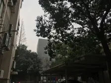 陆家嘴地段 精装 高区看江 采光好 舒适宜居 拎包入住